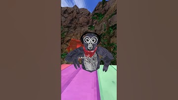 I Have A Challenge For You...🤪#gorillatag #shorts