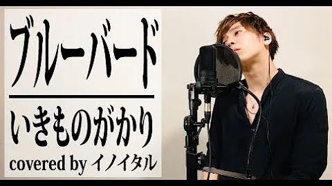 تحميل ブルーバード いきものがかり Arrange Ver ダズビー Cover