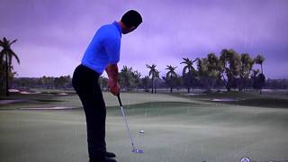 Weird Tiger Woods 10 glitch