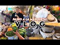 PASEO A LA MARQUETA//VLOG