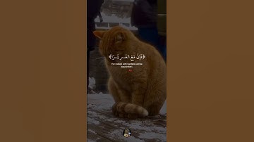 اكتب شيء تؤجر عليه 🌧️🌿 قرآن كريم | إسلام صبحي
