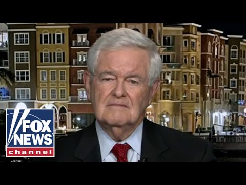 Newt Gingrich: This wont solve any of Bidens problems