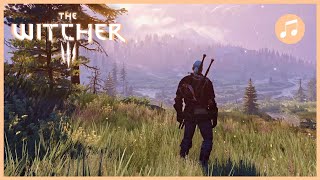 THE WITCHER 3 Skellige Ambience + OST | Fields of Ard Skellig | Snow, Rain + Thunder | 1 HOUR
