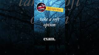 take a soft option - Daily English Idioms screenshot 1