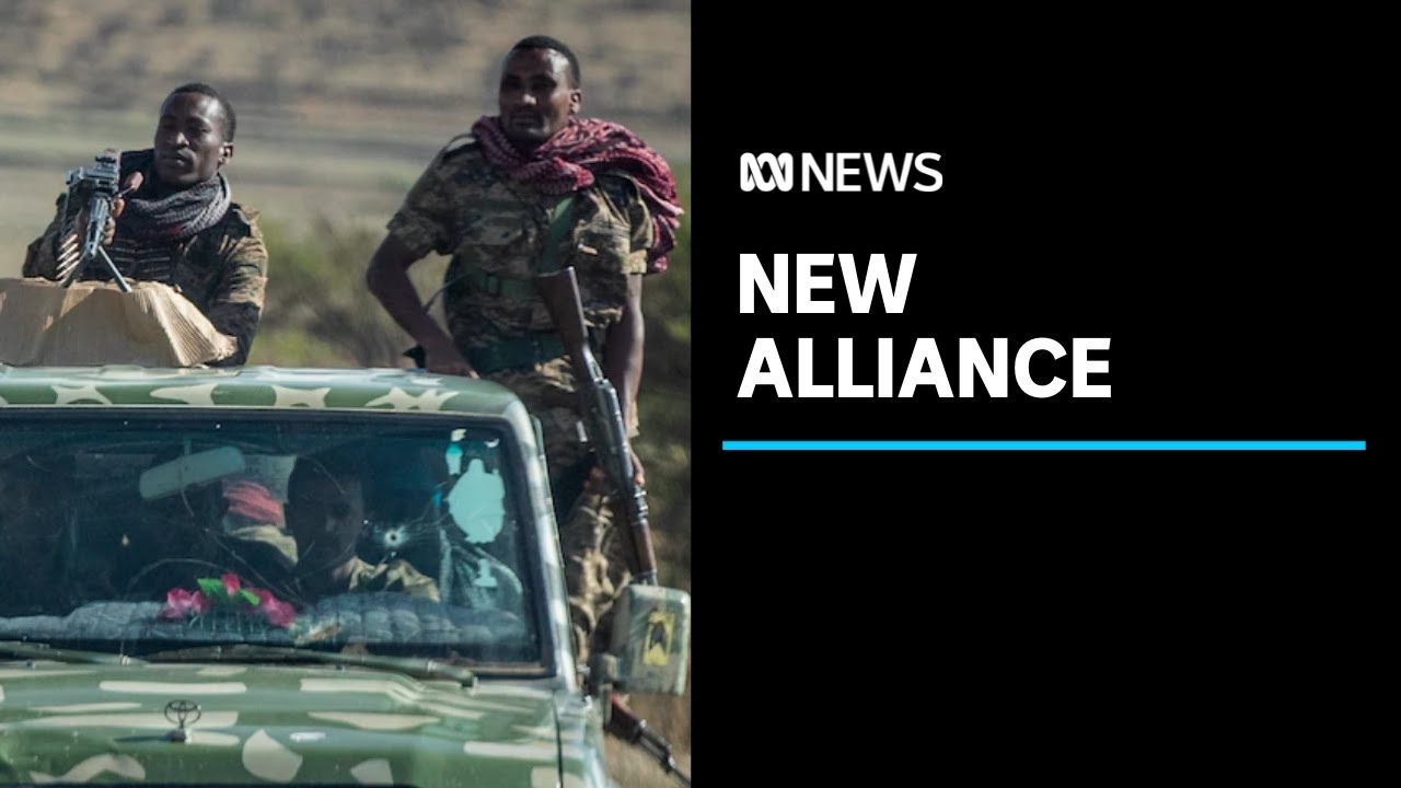 ⁣Ethiopia's Tigray forces and other anti-government groups form alliance to oust PM | ABC News