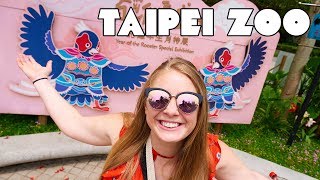 Taipei Zoo Panda, Maokong Gondola and Taiwan Street Food!