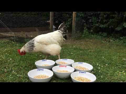 France vs Croatie (Finale)