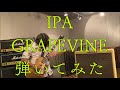 IPA/GRAPEVINE【Guitar Cover】