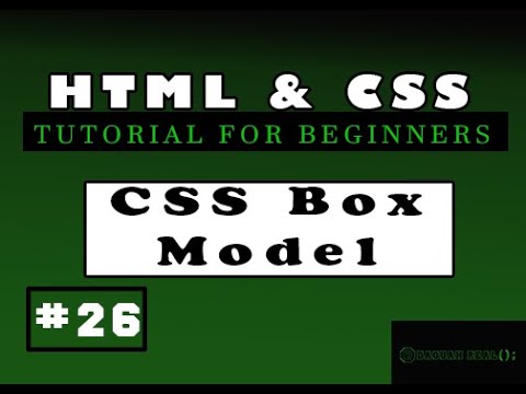 HTML and CSS Tutorials for beginners | #26 CSS Box Model - YouTube