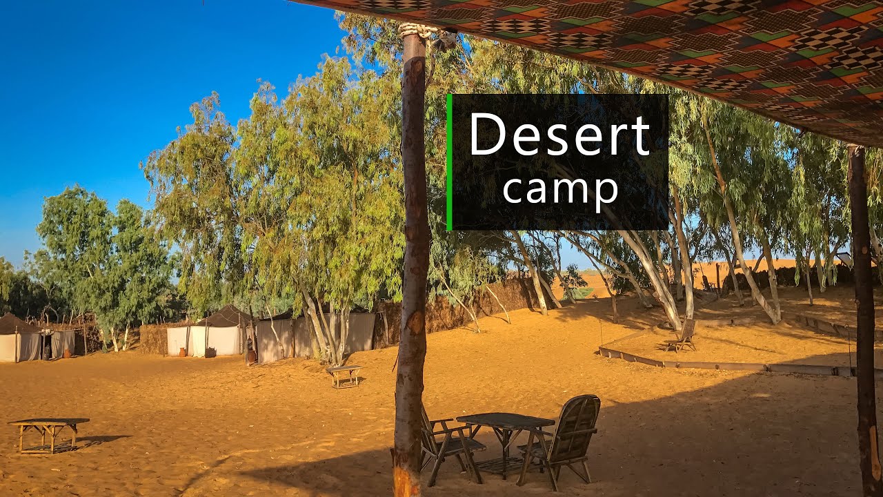 Nature sounds - desert oasis camp soundscape - YouTube
