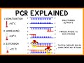 اختبار حول تفاعل البوليميراز المتسلسل (PCR)