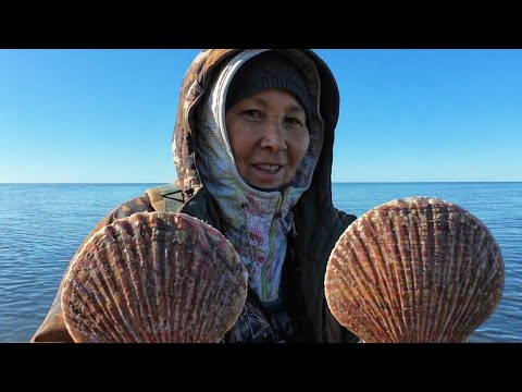 A successful trip to the sea. I'm collecting scallops.