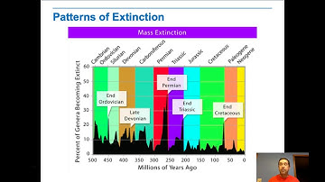 Evolutionary Patterns and Processes