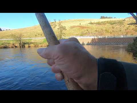 Salmon fishing at Cardrona river Tweed 28th October 2019