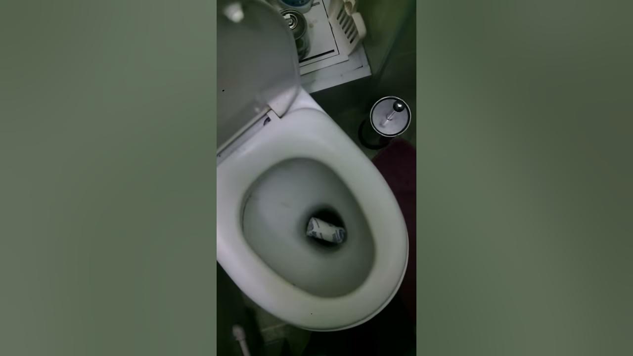 Просто смойте меня в унитаз ZEVA - YouTube