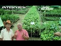 Interview with upa lalthasang  manager l tree nursery  plantation greenindia