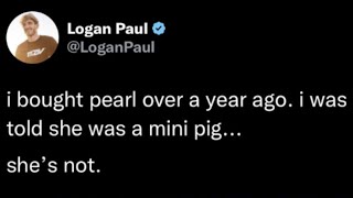 Logan Paul&#39;s Pet Pig Found Abandoned In A Field