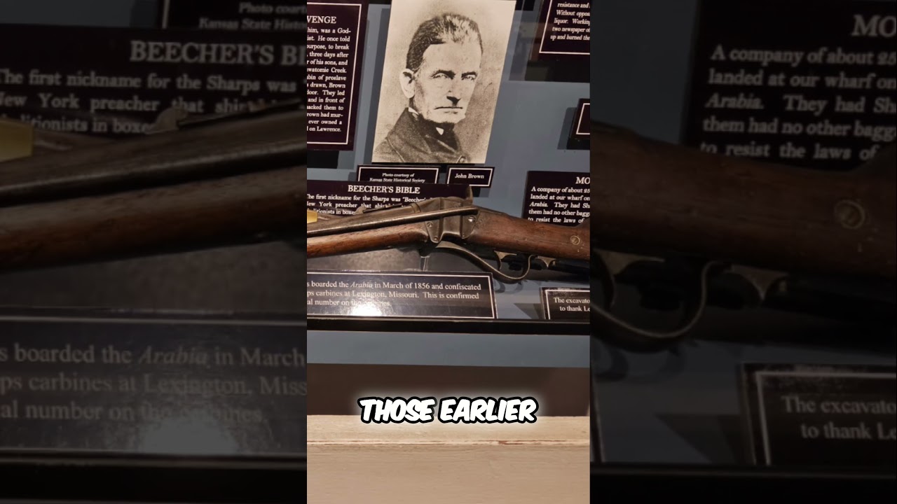 🐴 The Arabia Steamboat’s Forgotten Mule – Found After 132 Years!