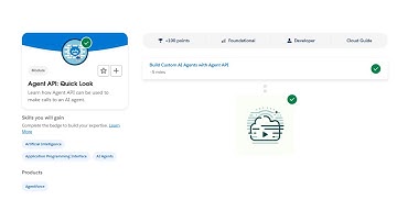 Agent API: Quick Look - Salesforce Trailhead