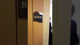 Independence of the Seas Cabin #8254 Category E1 - Deluxe Ocean View Stateroom with Balcony