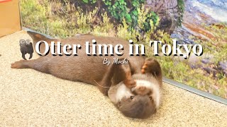 Meet otters in Tokyo | Living alone in Tokyo as a foreigner