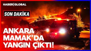 ANKARA MAMAK'DA YANGIN ÇIKTI! Ekipler Yoğun Şekilde Müdahale Ediyor!