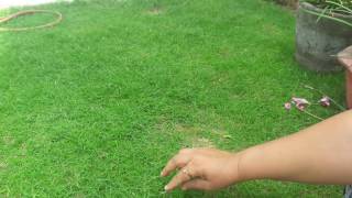 Facebook link :
https://m.facebook.com/fun-gardening-429290150746925/?ref=bookmarks