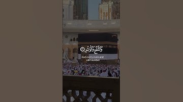 (والفجر وليال عشر والشفع والوتر) تلاوة خاشعة من سورة الفجر القارئ ماهر المعيقلي