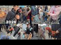 سوق الغزل يوم الجمعة وكفة الهراتيات 2026 