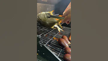 Bbqing Pompano Hot Sausages And Eggplants Foodie Bbq 