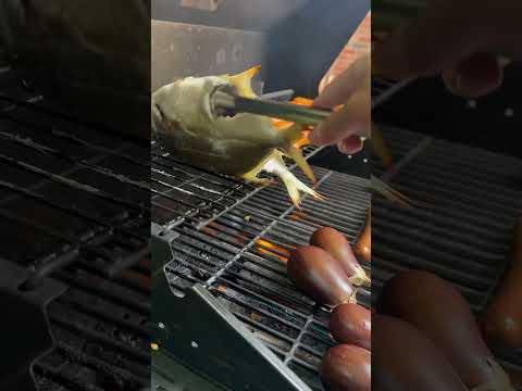 Bbqing Pompano Hot Sausages And Eggplants Foodie Bbq 