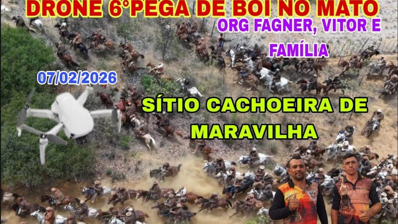 [DRONE]6°PEGA DE BOI NO MATO SÍTIO CACHOEIRA DE MARAVILHA CUSTÓDIA-PE ORG FAGNER E VITOR 07/02/2026