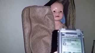 Haunted Harold Vlog - Harold is pissed, and so am I.