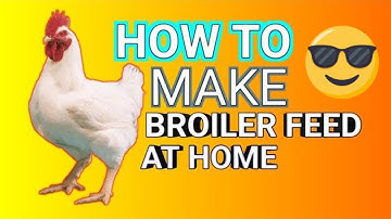 How To Make Homemade Broiler Chicken Feed - The Ultimate Guide to Homemade Chicken Feed