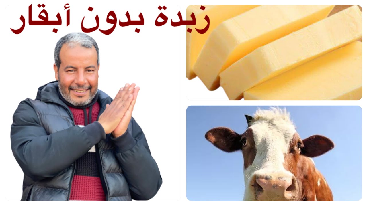 صناعة نصف كيلو زبدة بكأس واحد من الحليب بطريقة بسيطة جدًا
