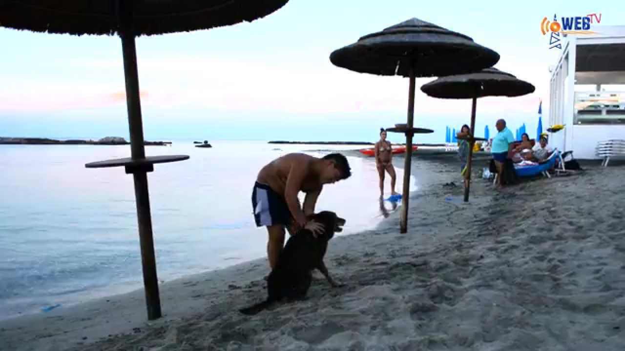 Otranto: super cagnolino recupera enorme masso dal mare | InOnda WebTv