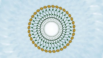 Rose rosette animation clip ( Krita 4.1.7 )