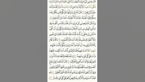 صلاة العشاء ماتيسر من سورة المائدة