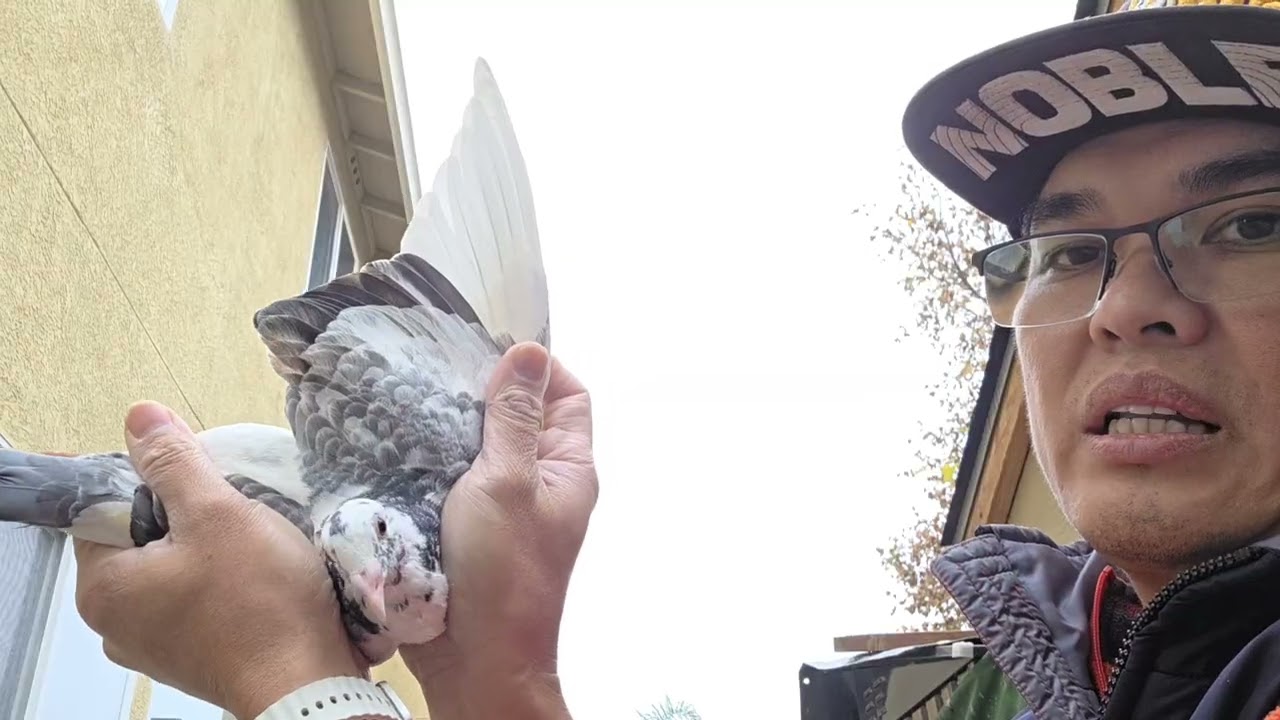 Nag itlugan na warriors natin!