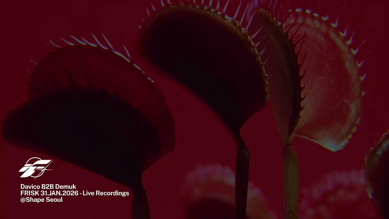 Davico B2B Demuk | FRISK 31.JAN.2026