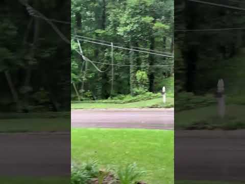 Johnny On The Spot: Downed Lines People!