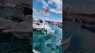 سكيكدة (سطورة) #سكيكدة #shorts #stora