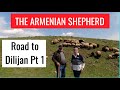 Armenian Shepherd: Road to Dilijan (Part 1)