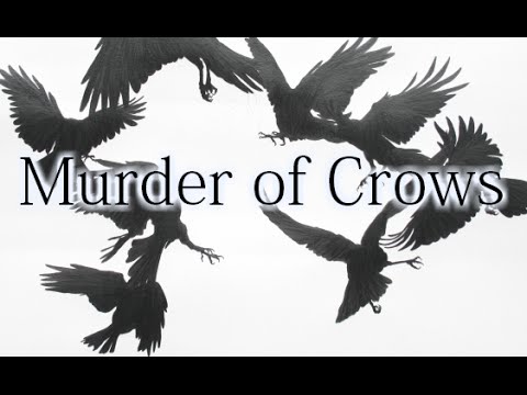 Murder Of Crows Murder Of Crows