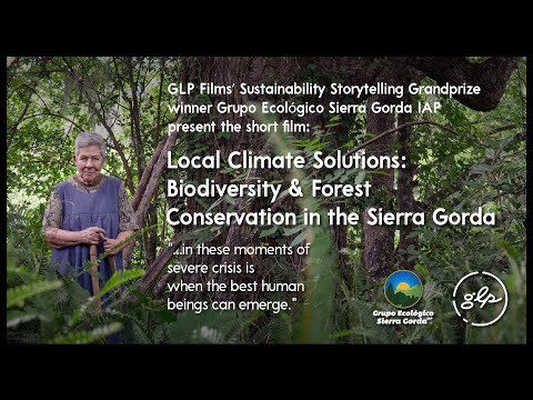Local Climate Solutions: Biodiversity & Forest Conservation in the Sierra Gorda (vi)