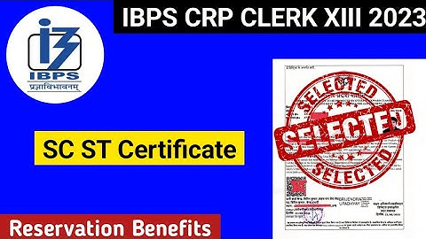 SC ST Certificate for IBPS Clerk 2023 | Reservation for SC ST in IBPS CLERK XIII 2023 #ibpsclerk