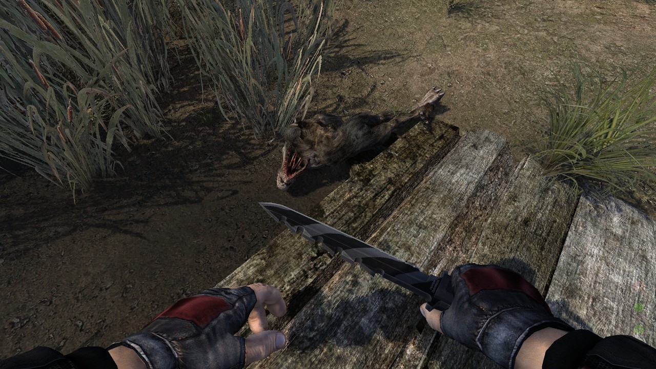 NLC 7 спички не нужны! 406 день. Болота без перезагрузок. ☢ 94