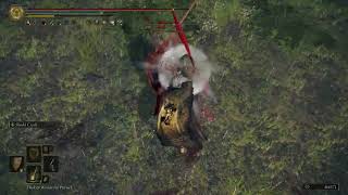 Elden Ring: Deathblight on Shields??