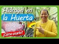 Uso del HIDROGEL en los Cultivos de la Huerta Casera // GEL hidratante de plantas // Hidroretenedor