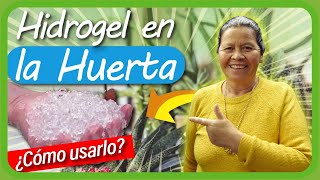 Uso del HIDROGEL en los Cultivos de la Huerta Casera // GEL hidratante de plantas // Hidroretenedor